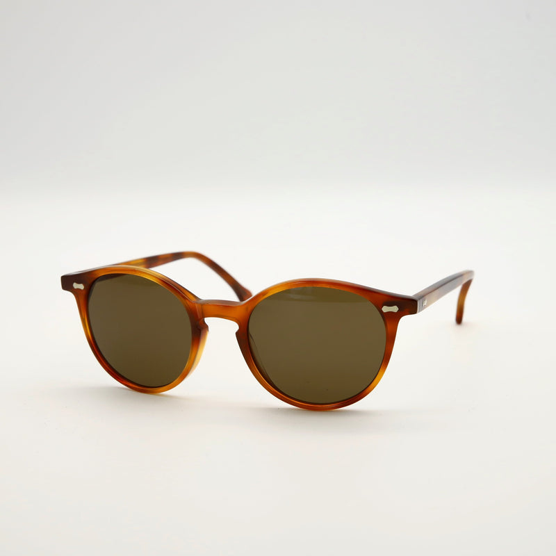 Classic tortoise shell sales sunglasses
