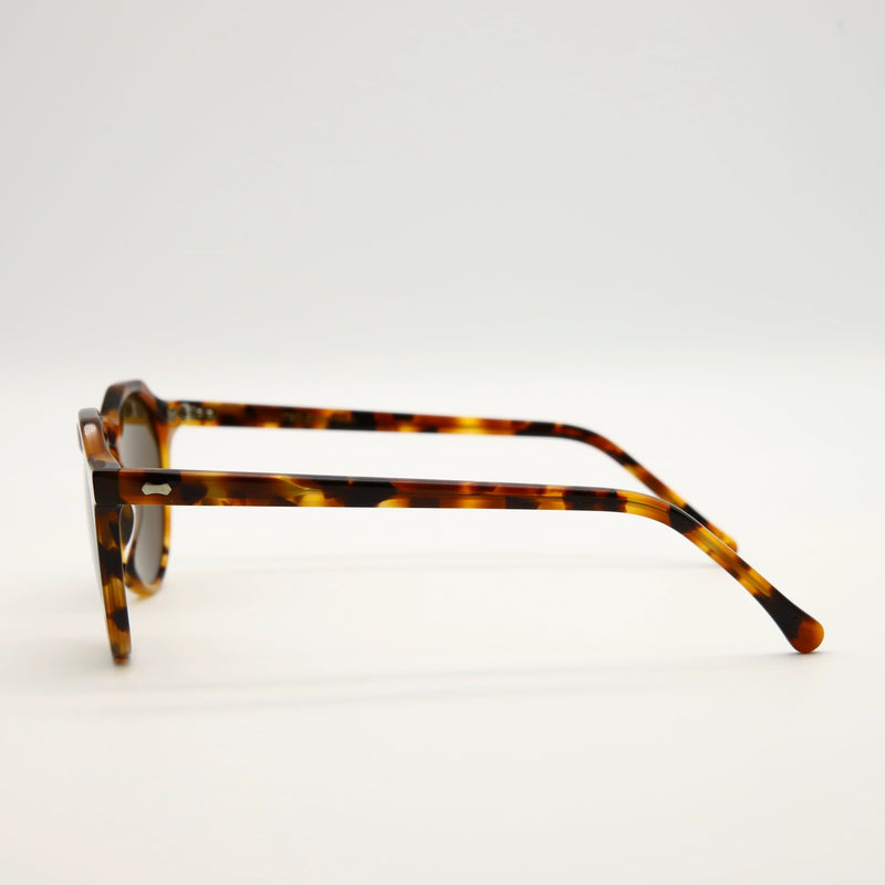 LAPEL AMBER TORTOISE Sunglasses